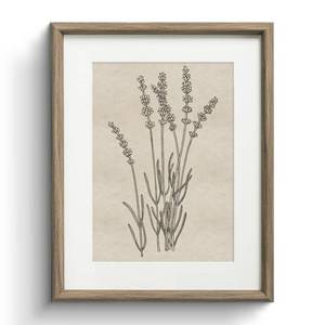 lot 3855 image: InSimSea Framed Canvas Wall Art, Nature Wildflowers Art Prints, Vintage Neutral Decor for Living Room Bedroom Dorm Hallway Bathroom, Rustic Farmhouse Cottage Decor, 11x14 Inch
