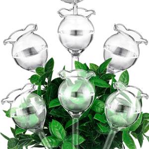 lot 4066 image: Yungyan 6 Pcs Self Watering Plant Globes Glass Cactus Insert Watering Devices Automatic Plant Watering Bulbs Water Globes for Indoor Outdoor Plants(Clear Tulip,5.31 Inch) - Retail $24