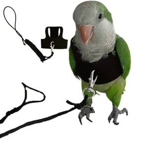 lot 4138 image: Bird Flight Harness Vest, Parrot Flight Suit with Leash for Parakeets Cockatiels Conures Budgies, Bird Flying Clothes with Rope and Handle for Outdoor Activities Training, Anti Bite (Medium) - Retail $17