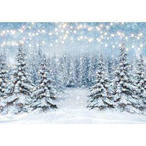lot 5163 image: Winter Photography Backdrop 10x8 FT,Snowy Forest Scene with Frosted Branches & Twinkling Lights,Soft Polyester Fabric Background for Portrait Studio, Video,Christmas Party Decor - Retail $46