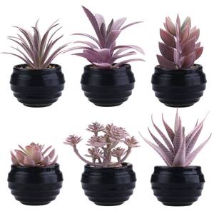 lot 5567 image: GREENTIME 6 Pcs Purple Artificial Succulents Valentines Day in Black Plastic Pots Couple Gift Small Fake Succulent Plant Room Decor for Women Office Indoor Bedroom Bathroom Table Shelf Decoration - Retail $21