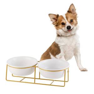 lot 5805 image: Elevated Dog Bowls for Small Dogs - 2 Ceramic Bowls with Gold Iron Stand - Raised Pet Dish Set for Food and Water - Comfortable Feeding - Retail $26