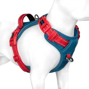 lot 5838 image: PHOEPET No Pull Dog Harness, Unique Colors Reflective Adjustable Dog Vest, with Soft Training Handle Metal Clips for Small Medium Large Dogs (Teal Base & Red Straps,M) - Retail $25