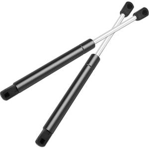 lot 5873 image: ECCPP Lift Supports Rear Trunk Lid Struts Gas Springs Shocks for Buick Century 2000-2005,for Buick Regal 1999-2004 Compatible with 4122 Strut Set of 2 - Retail $16