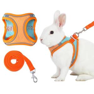 lot 5911 image: Bunny Harness and Leash Set, Adjustable Double Buckles Breathable Mesh Rabbit Vest with Reflective Strips, Escape Proof Small Pet Walking Training Gear for Rabbits, Kittens, Ferrets, Guinea Pigs (M)