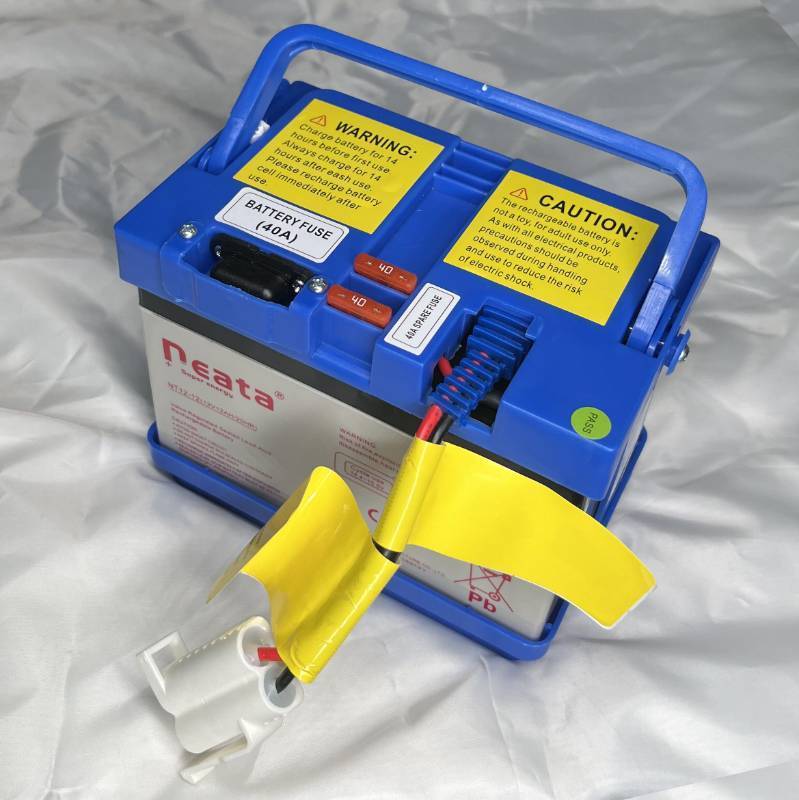 lot 2648 image: 12 Volt 12Ah Battery for Motion Compatible with Action Mega Tredz for Yamaha Raptor 700R for Hello Kitty Food Truck for Disney Frozen Sleigh Battery Powered Ride On