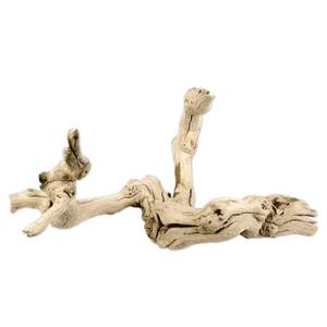 lot 6879 image: Koyal Natural Grapewood Vine Branch, 6-Inch - Retail $22