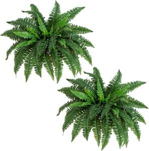 lot 171220 image: Nearly Natural 40in Hanging Artificial Fern Plant, Set of 2 - Realistic Silk Plant, Faux Greenery For Home Living Room Decor Natural Look Low Maintenance