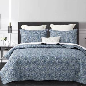 lot 171239 image: DURLENGEN Quilt Set California King Size 3Pcs,Soft Microfiber Lightweight Bedspread,Blue & Green Paisley Floral Geometric Pattern Coverlet for All Season Layering(Cal King 112x104,Paisley Blue)