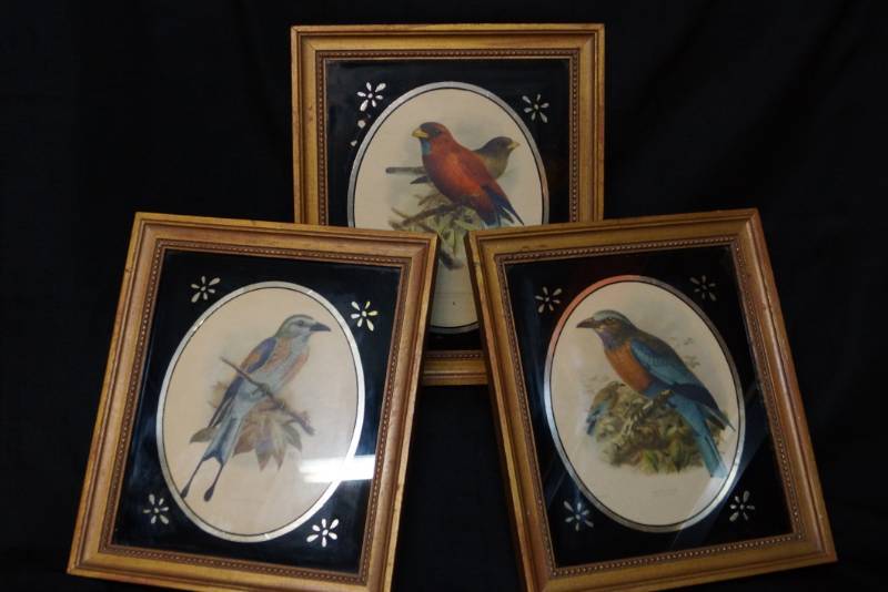 lot 218 image: 3- Framed Bird Pictures- Decor