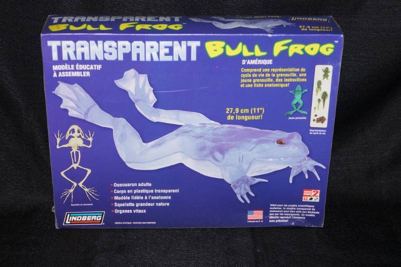 lot 224 image: Transparent BullFrog- Model Toy- Sealed