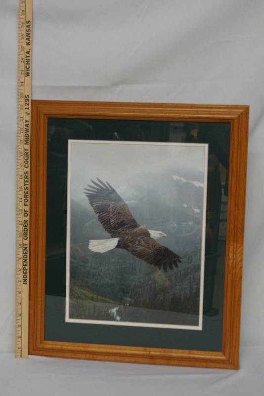 lot 304 image: Large Framed Bald  Eagle Picture