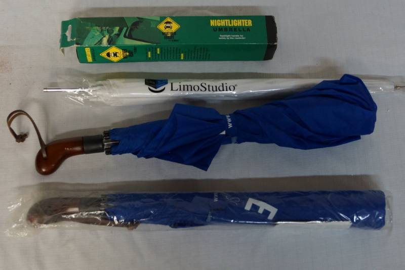 lot 380 image: Umbrella Lot
