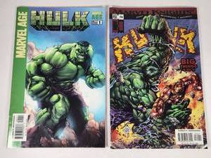 lot 160 image: Marvel Age Hulk #1 and Marvel Knights Hulk #74 Comic Book Set