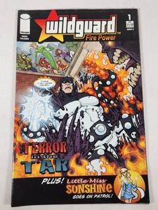 lot 224 image: Wildguard Fire Power #1 Comic Book (2004)
