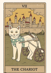 lot 2407 image: The Chariot - Cat Tarot Art Tin Sign - 8 x12