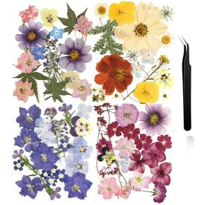lot 36163 image: Dried Pressed Flowers for Crafts Resin Pressed Flowers Bulk Purple Dried Wildflowers Leave Natural with Tweezer DIY Christmas Crafts Supplies for Resin Mold Scrapbooking Nail Soap Making - Retail $13
