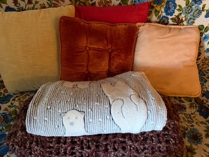 lot 48 image: Throw Blankets and Throw Pillows
