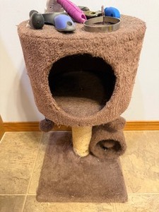 lot 51 image: Cat Perch and Grooming Tools