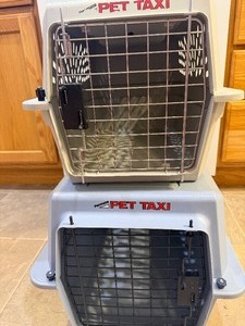 lot 52 image: Pet Taxis