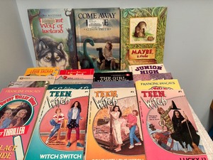 lot 214 image: Books - Sweet Valley High, Teen Witch and More Misc TitlesAuthors, Please See Pictures for Variety