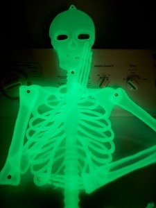 lot 154 image: Glow in the Dark Skeleton and Misc Holiday Items