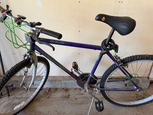 lot 409 image: Roadmaster Hurricane Ridge Bike