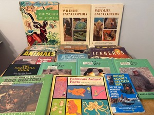 lot 228 image: Books - Childrens Educational, Animals and More Please See Pictures for Variety