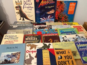 lot 265 image: Childrens Books - Paper Airplanes and More