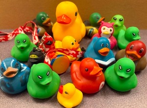 lot 347 image: Ducks All Sorts of Colors