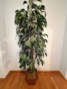 lot 752 image: Large Faux Tree (Approx 7 Feet) and Potted Greenery