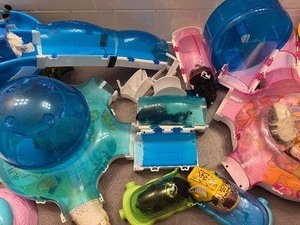 lot 330 image: Zhu Zhu Pets and Playsets for Them Please See Pictures to See All the Critters
