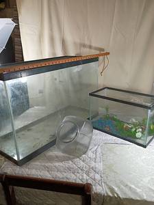 Glass Fish Tank Set with Cookie Jar
