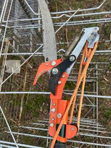 lot 174 image: Professional Tree Pruning Pole with Bypass Lopper Head