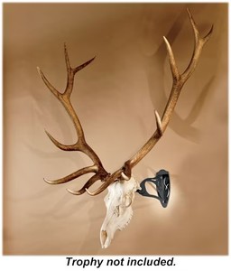 lot 50176 image: Skull Hooker European Trophy Mounting Systems - Little Hooker - Black