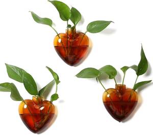 lot 50405 image: Wall Hanging Planter Propagation Station for Indoor Plants Glass Vase Air Plant Holder Gift for Women Girlfriend Plant Lover Clear Glass