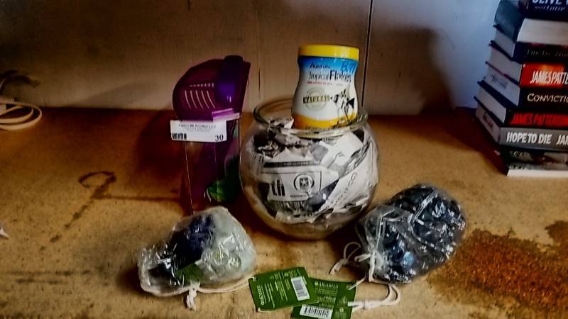 lot 30 image: Fish Bowl and Supplies- ADD YOUR FISHY
