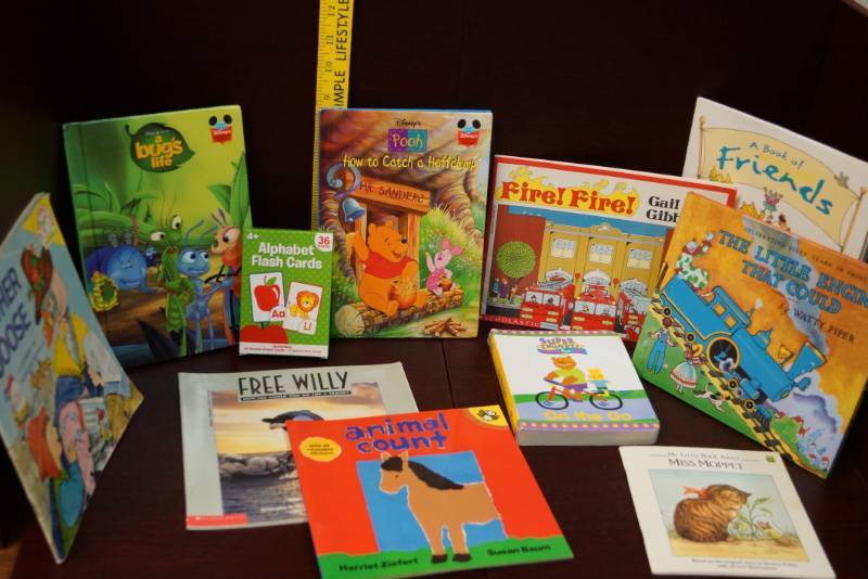 lot 533 image: Lot of 10 Childrens Books & Flash Cards