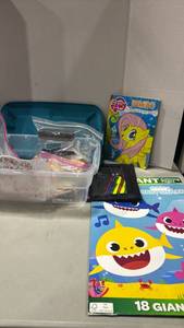 lot 1165 image: Kids Coloring Book Bundle with Storage and markers and more