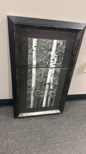 lot 1300 image: Framed birch tree wall decor 30x18