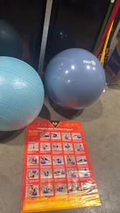 lot 1487 image: Exercise Ball Set with Workout Guide