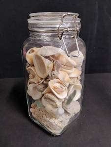 lot 1053 image: Natural Seashell Collection in Glass Jar