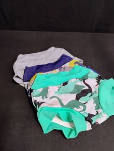 lot 1069 image: Childrens Dinosaur Print Training Pants Set