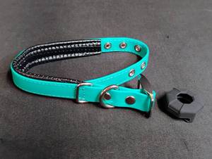 lot 1109 image: Turquoise and Black Braided Pet Collar