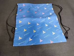 lot 1116 image: Walt Disney World 50th Anniversary Drawstring Bag