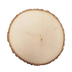 lot 64844 image: 2 in. x 1 ft. x 1 ft. Rustic Basswood Thick Round Project Panel