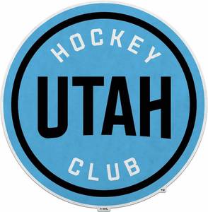 lot 64963 image: Rico Industries NHL Hockey Utah Hockey Club Primary Shape Cut Pennant - Home and Living Room D cor - Soft Felt EZ to Hang