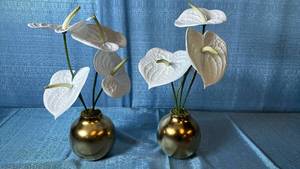 lot 2004 image: Threshold 16 Tabletop Arrangements. Set Of 2.