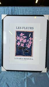 lot 2086 image: Les Fleurs Lunaria Rediviva Framed Art Print. 25x31.
