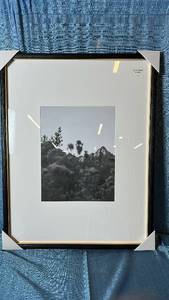 lot 2102 image: Threshold Wall Frame. 20W x 26H,Matted To 11x14. 